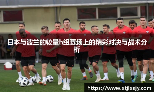 足球直播
