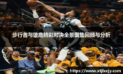 懂球体育
