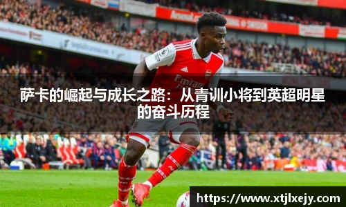 懂球体育