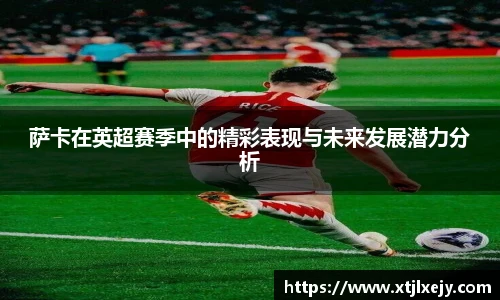 懂球体育