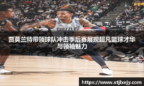 懂球体育