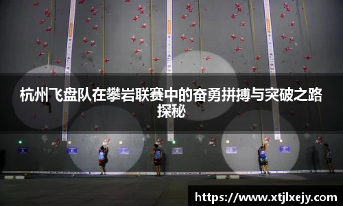 懂球体育