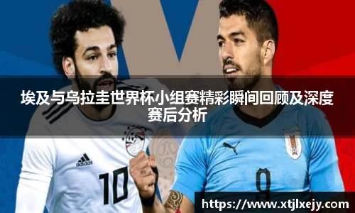 懂球体育