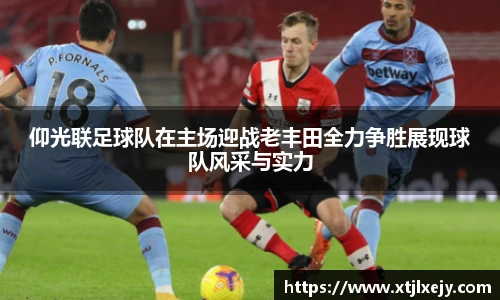 懂球体育