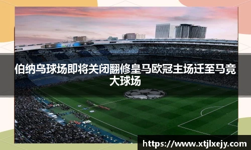 懂球体育