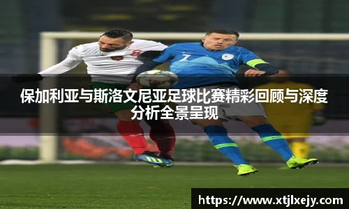 看球直播