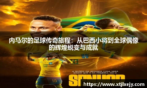 懂球体育
